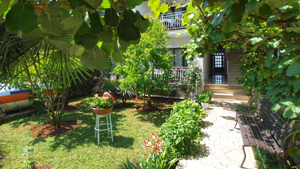 Un giardino con un vialetto che conduce a una casa, circondato da diverse piante e una barca sullo sfondo.