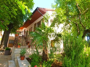 Stroll through a serene garden featuring a variety of lush plants and a majestic palm tree.