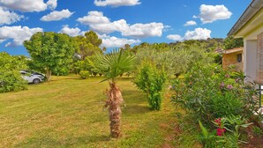 A well-maintained garden with a variety of plants and a palm tree. - House 1666 (Liznjan)