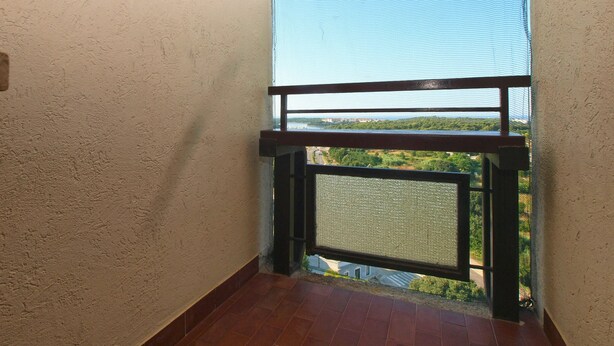 Un balcón con vista a un río y vegetación.