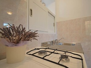 Apartamento estándar, 1 habitación (1770/20341) | Cocina privada | Frigorífico, microondas, placa de cocina y hervidor eléctrico