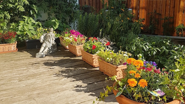 Una terraza de madera con plantas en macetas y una estatua.