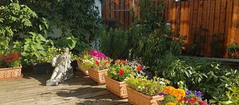 Child-friendly apartment centrally located and close to nature