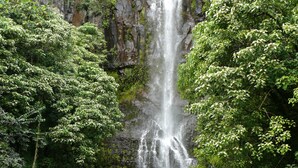 Een waterval omringd door weelderig groen.