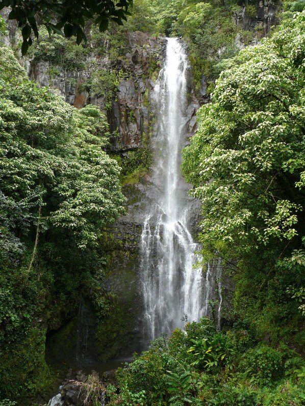 Ein Wasserfall, umgeben von dichtem Grün.