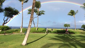 Een park met palmbomen en een duidelijke regenboog.
