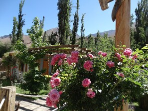 Blick auf den Garten