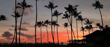 A beach with palm trees silhouetted against a sunset sky.