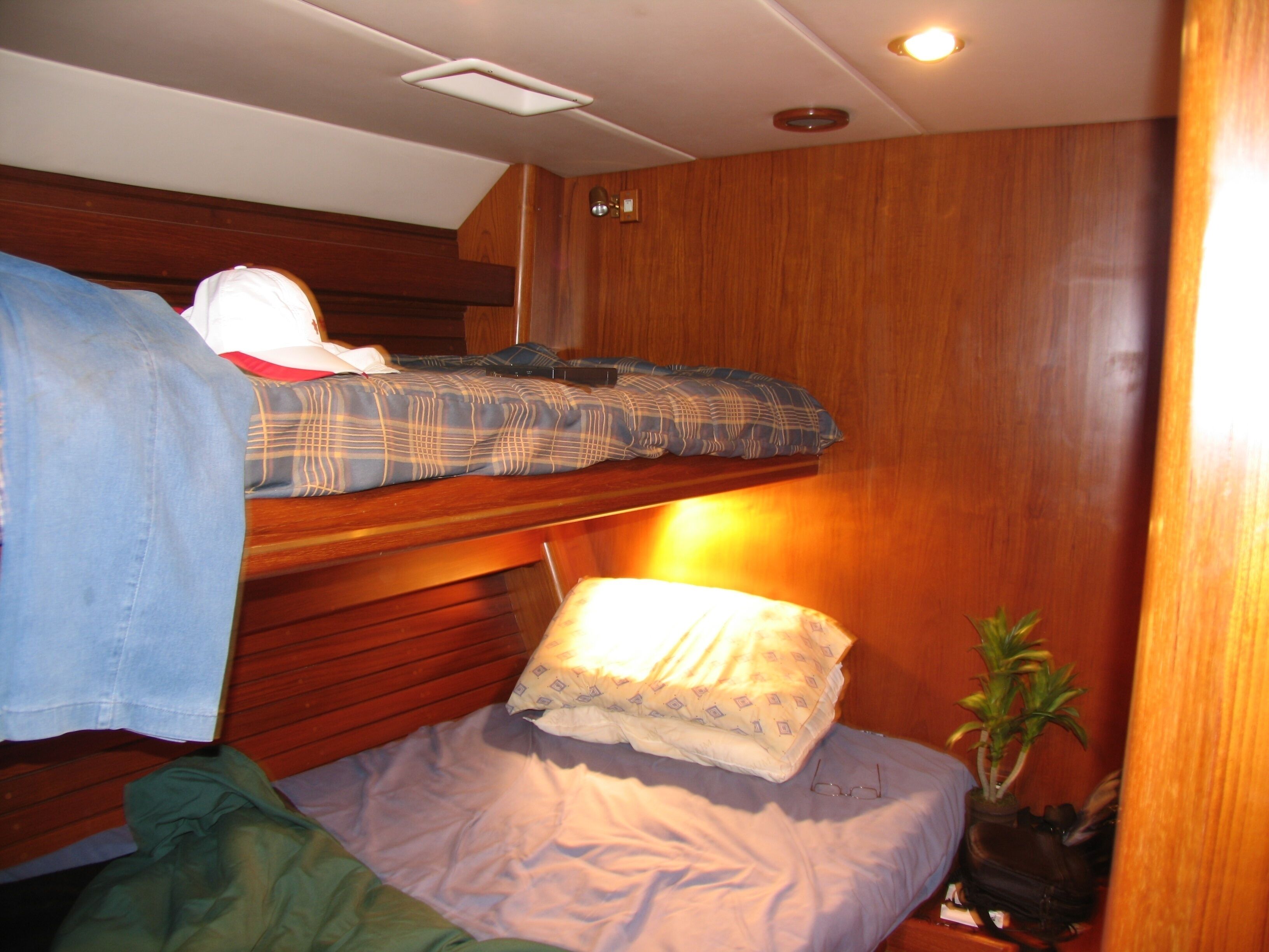 A cabin with two bunk beds, wooden walls, a small potted plant, and a ceiling light.