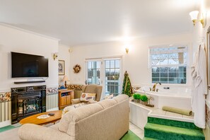 电视、壁炉、DVD 播放器、书