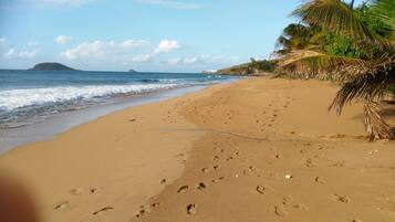 Plage à proximité
