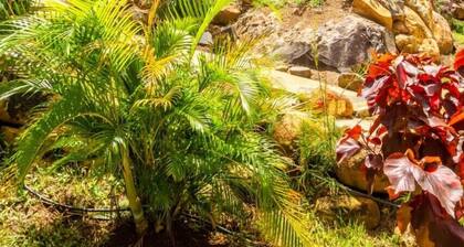 cottages neufs Ă Deshaies Ă 300 mĂštres Ă pied de la plage Grande Anse