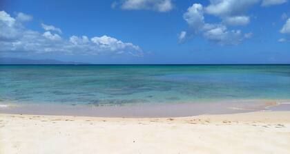 Neue Ferienhäuser auf Deshaies, 300 Meter vom Strand Grande Anse entfernt