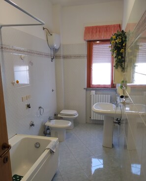 Combined shower/bathtub, hair dryer, bidet, towels