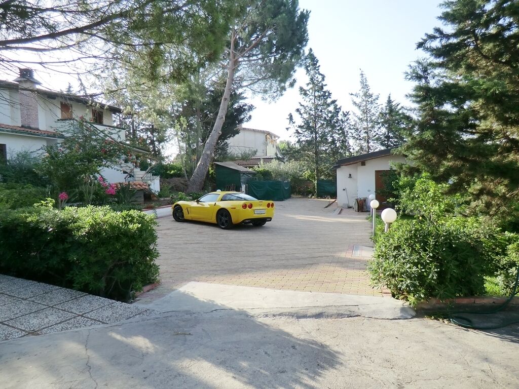 Parco della struttura