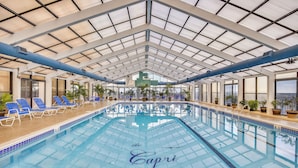 Una piscina interior amb sostre transparent, gandules blaves i plantes en testos.