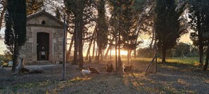 Parco della struttura