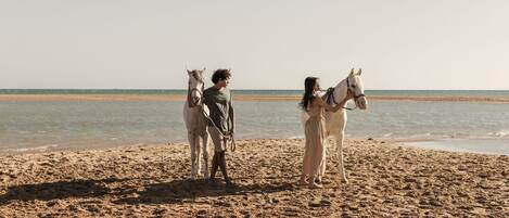 A beach scene with two horses and two people standing on the sand near the water.