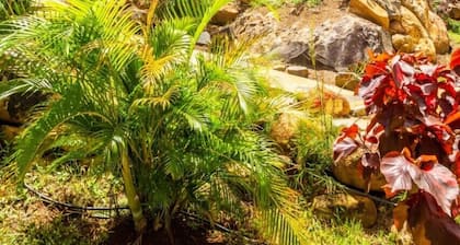 cottages neufs Ă 300 mĂštres Ă pied de la plage Grande Anse