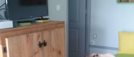 A wooden table with a painted design, a television on a wooden cabinet, and a door in the background.