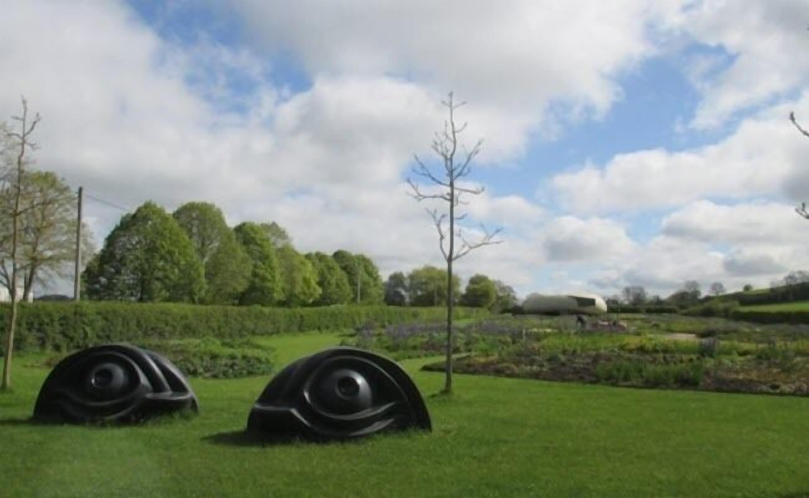 A grassy field with two large, black, circular structures.