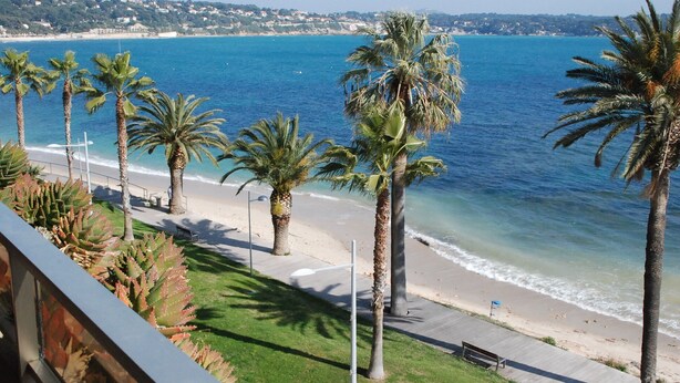 A coastal view with palm trees, a beach, and a clear blue sea. - Apartment 2 Rooms + Terrace 10 m² -Front de Mer, Face Plage de Sable  (Bandol)