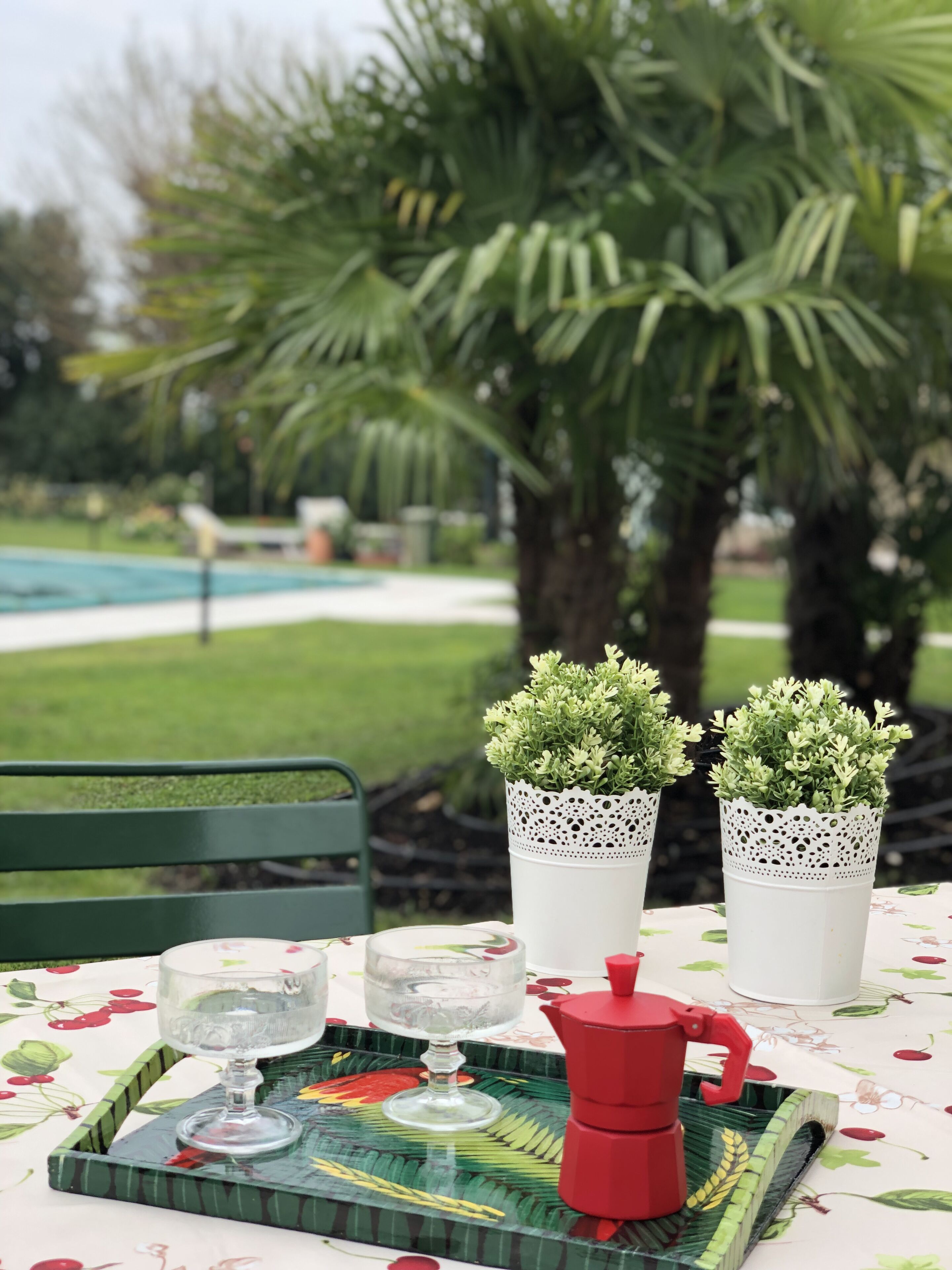 Une table dressée avec un plateau, deux verres, une théière et deux plantes en pot.