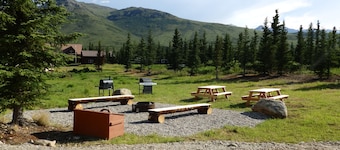 Denali Wildlife Wolf Cabin Luxury with a touch of Rustic..