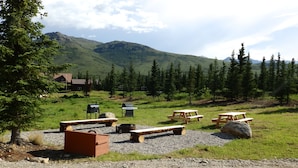 Ein Campingplatz mit Picknicktischen und Grillplatz, umgeben von Bäumen und einem Berg im Hintergrund.