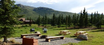  Denali Wildlife Wolf Cabin  Luxury with a touch of Rustic.. 