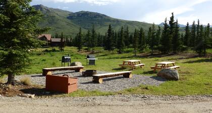 Denali Wildlife Wolf Cabin Luxury with a touch of Rustic..