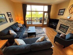 TV connectée, cheminée, lecteur de DVD, espaces bureaux