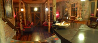 Dogs and Fish Dream Land