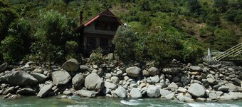 Dogs and Fish Dream Land