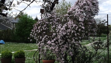 花園