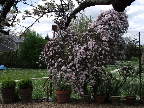 Un jardín con árboles floreados y plantas en macetas.