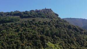 Une colline parsemée de vignes en terrasses, surmontée d’un ensemble de bâtiments.