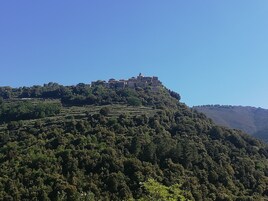 Una colina con viñedos en terrazas y un grupo de edificios en la cima.