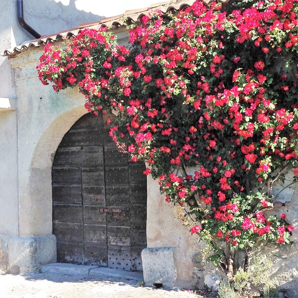 Detalle exterior