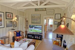 TV connectée, cheminée, lecteur de DVD, livres