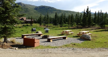 Denali Wildlife Caribou Cabin Luxury with a touch of Rustic..