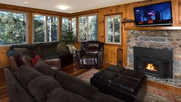 TV, fireplace, video games, DVD player