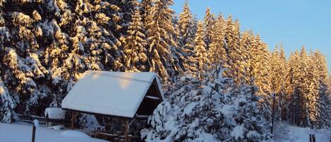 Enceinte de l’hébergement
