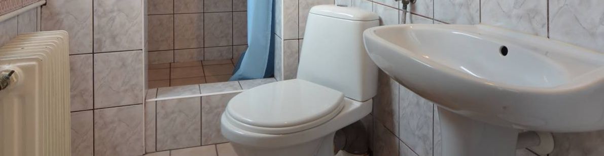 A bathroom with a toilet, a sink, and a shower curtain.