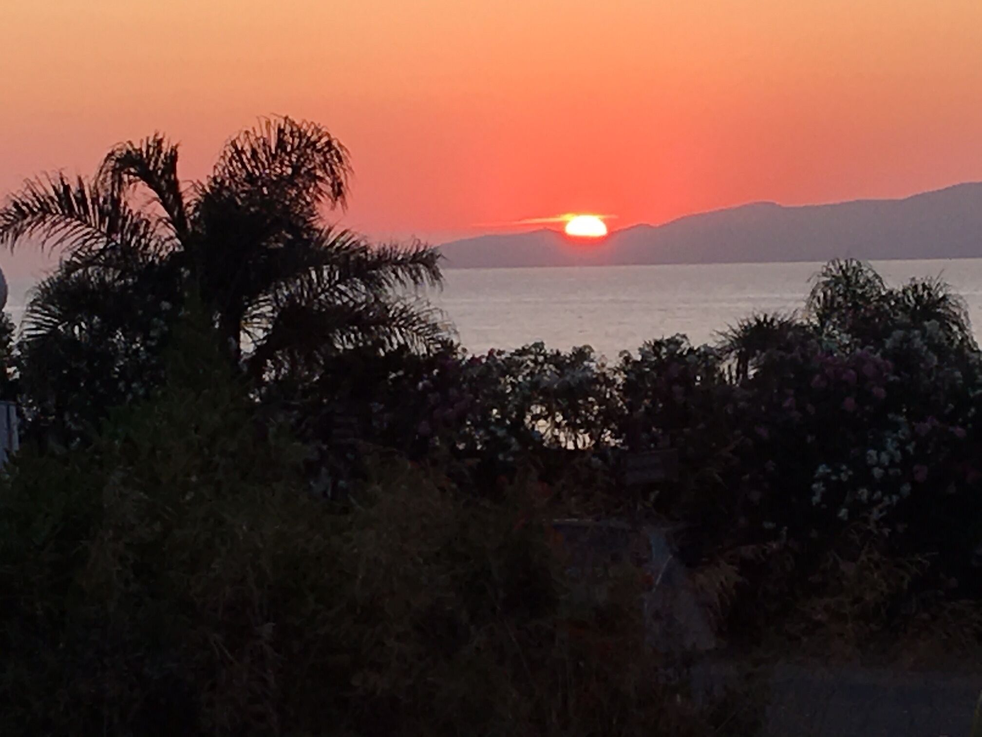 Een zonsondergang boven een wateroppervlak, met palmbomen en struiken op de voorgrond.