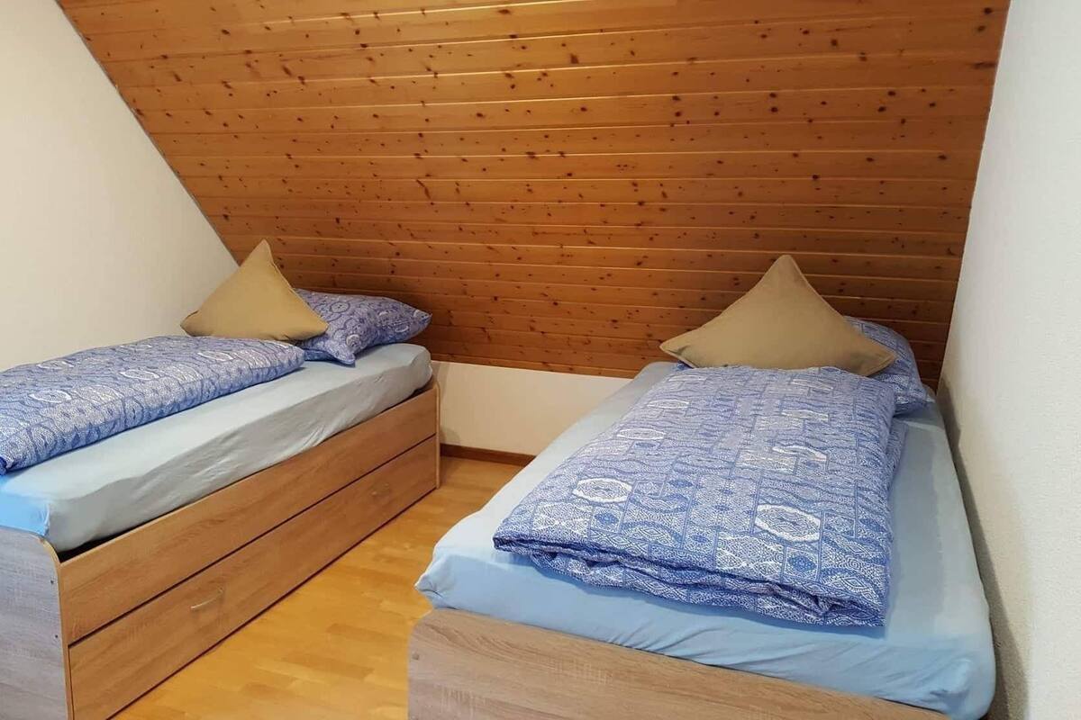 Una habitación pequeña y acogedora con dos camas de madera, cada una con una colcha azul estampada y un cojín.