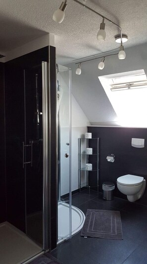 Shower, hair dryer, towels - Ferienwohnungen am Naturbad (Lahr)