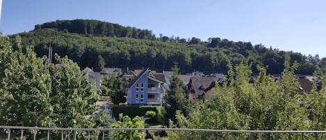 Apartment, 3 Bedrooms (XXL) | Balcony view