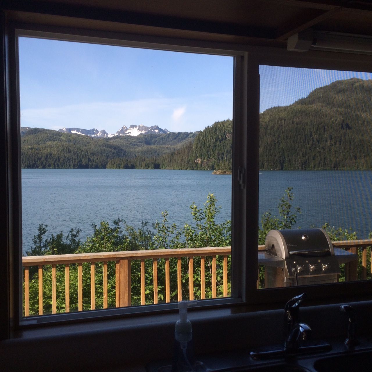 Lodge #2: Imagine looking at this while doing your dishes....