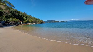 A beach with clear water, sandy shore, and greenery.